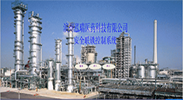 山東泓瑞醫藥科技股份公司（安全聯鎖控制系統）